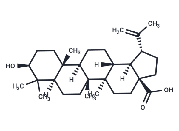 Betulinic acid