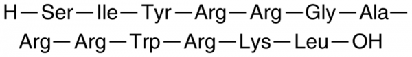 PKCzeta Pseudosubstrate Inhibitor