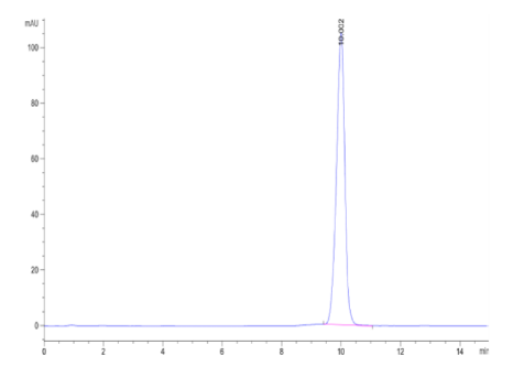 IL-1 alpha/IL-1A, His, Mouse