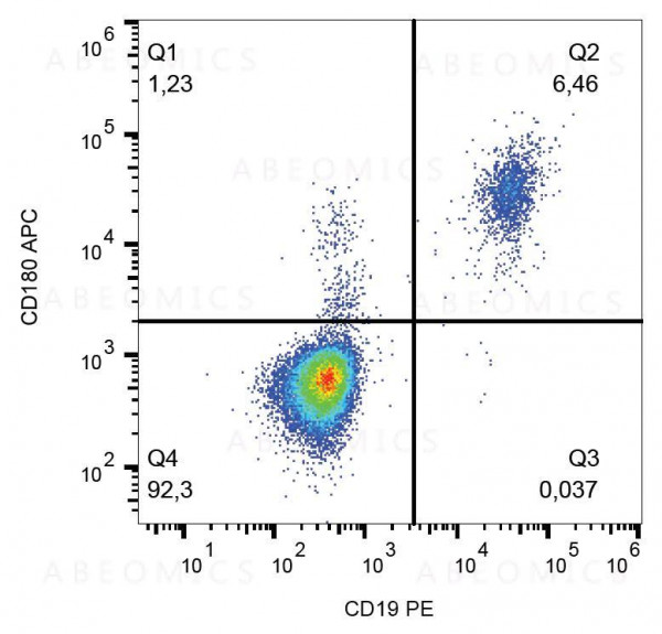 Anti-CD180 Monoclonal Antibody (Clone:G28-8)-APC Conjugated