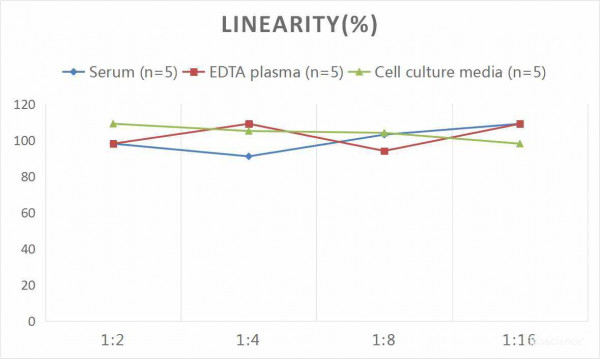 Human IP-10/CXCL10 (Interferon Gamma Induced Protein 10kDa) CLIA Kit