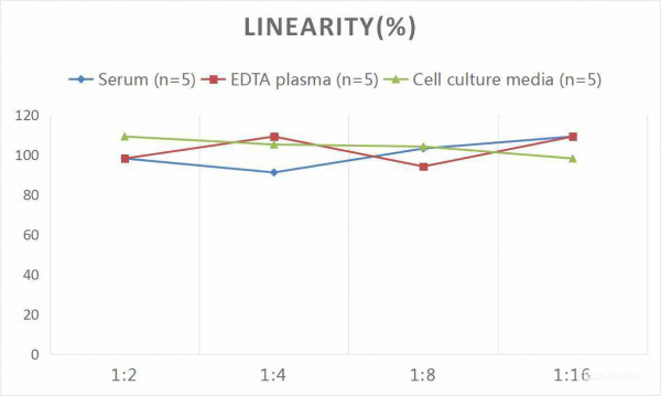 Human IP-10/CXCL10 (Interferon Gamma Induced Protein 10kDa) CLIA Kit