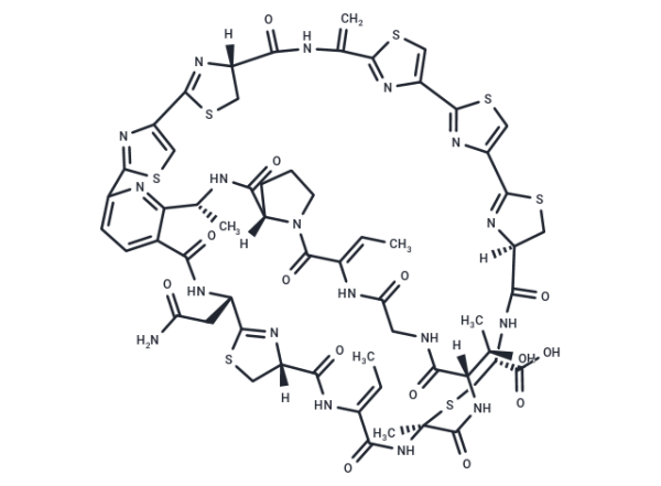 Cyclothiazomycin