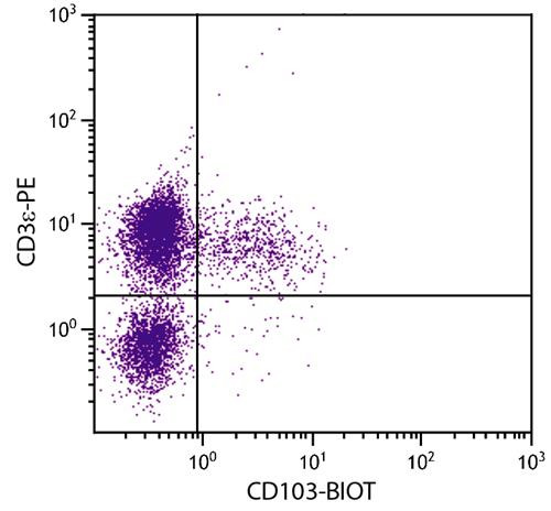 Anti-CD103 / Integrin alpha E (Biotin), clone 2E7