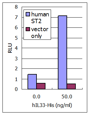 IL-33 (human, rec.) (His)