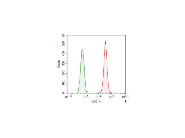 Anti-Elab Fluor(R) 647-conjugated alpha Tubulin, clone 2H2