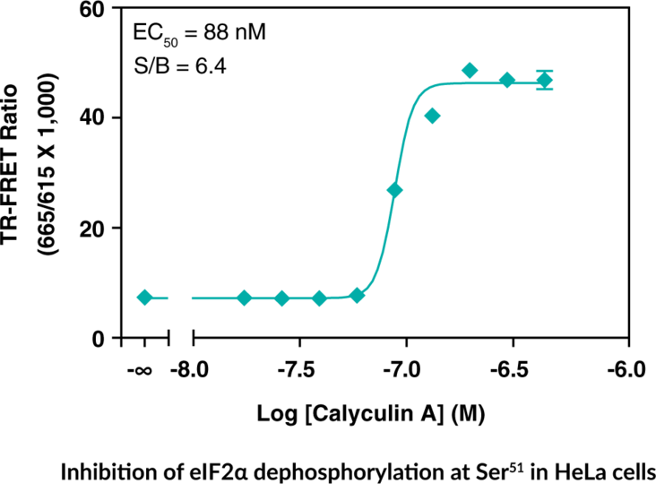 eIF2alpha (Phospho-Ser51) TR-FRET Assay Kit | Cayman Chemical | Biomol.com