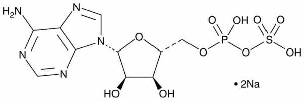 Adenosine 5&#039;-phosphosulfate (sodium salt)