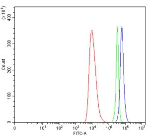 Anti-TAAR6 / Trace amine-associated receptor 6