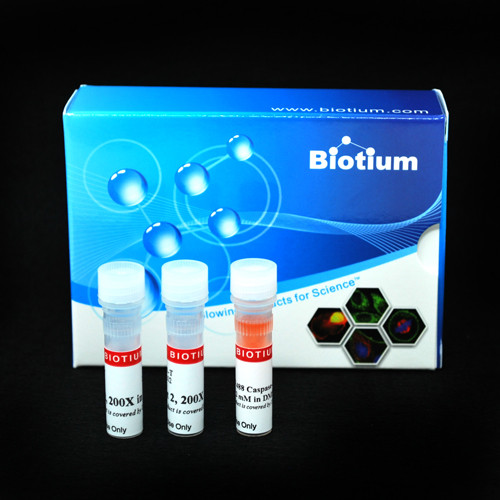 NucView(R) 488 and RedDot(TM) 2 Apoptosis &amp; Necrosis Kit