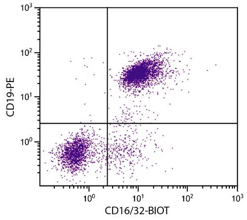 Anti-CD16/32 (Biotin), clone 93