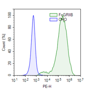 FcGRIIB (CD32B) Lentivirus