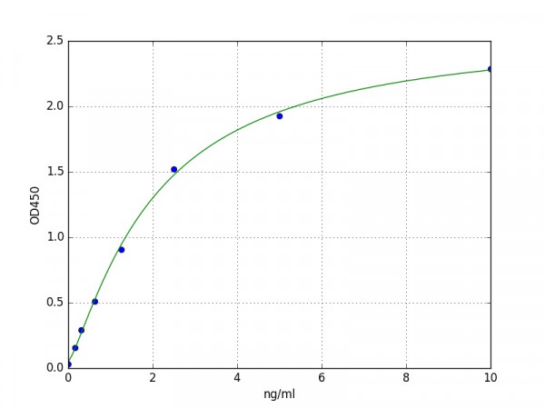 Human FoxC1 / Forkhead Box Protein C1 ELISA Kit