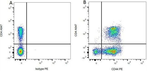 Anti-CD44 (RPE), clone OX-50