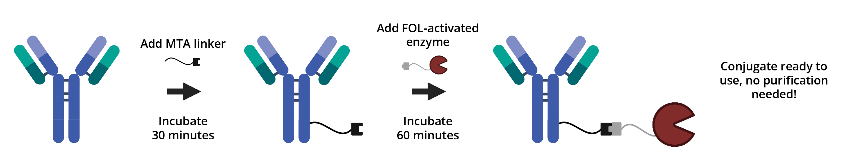 BuccutiteHRP_Workflow