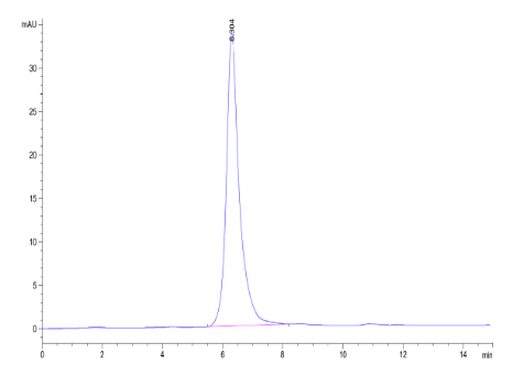 Syndecan-1 hFc Chimera, Mouse