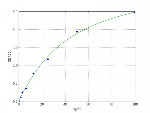 Human Cytochrome c ELISA Kit