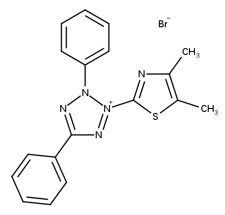 Thiazolyl blue (MTT) 3-(4,5-Dimethyl-2-thiazolyl)-2 ,5-diphenyl-2H-tetrazolium bromide