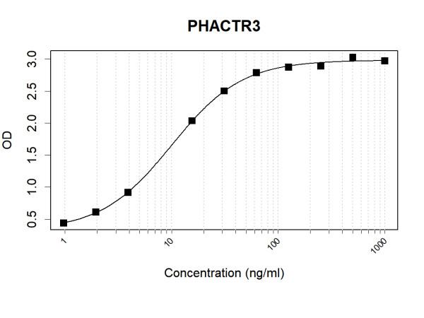 Anti-Human PHACTR3 Antibody Pair