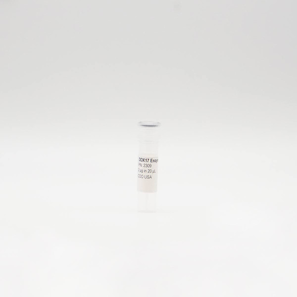 Recombinant DDX17 Enzyme, Active, Human
