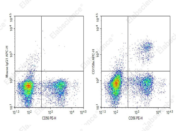 Anti-CD158e Antibody[DX9] (human), purified