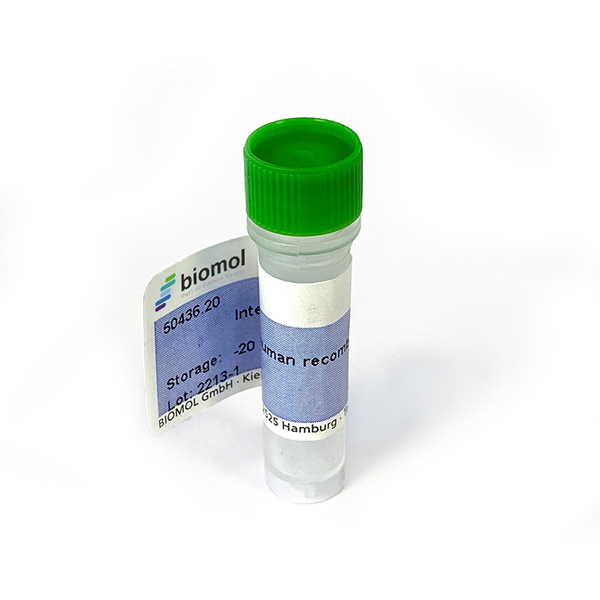 Fibroblast Growth Factor-19 (FGF19), human recombinant (rHuFGF19)