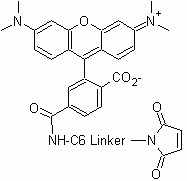 6-TMR C6 malemide