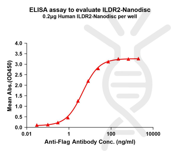 ILDR2 (human) full length protein-synthetic nanodisc