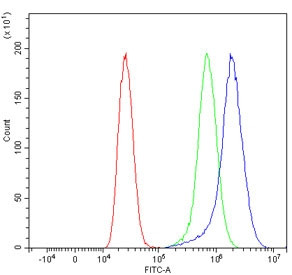 Anti-TTPA / Alpha-tocopherol transfer protein