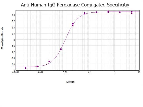 Anti-Human IgG (H&amp;L) [Rabbit] Peroxidase conjugated