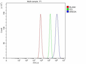 Anti-ARID3A / AT-rich interactive domain-containing protein 3A