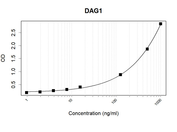 Anti-Human beta Dystroglycan Antibody Pair