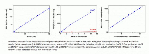 Amplite(TM) Fluorimetric NADP Assay Kit *Blue Fluorescence*