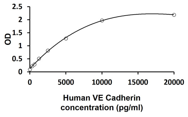 Human VE Cadherin ELISA Kit