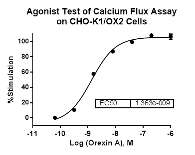CHO-K1/OX2 Stable Cell Line