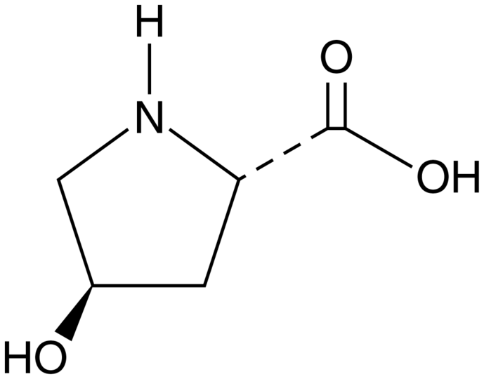 Cay26061-10.png