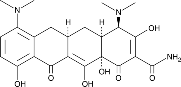 4-epi Minocycline
