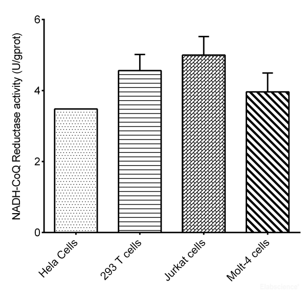 Cell Mitochondrial Complex I (NADH-CoQ Reductase) Activity Assay Kit