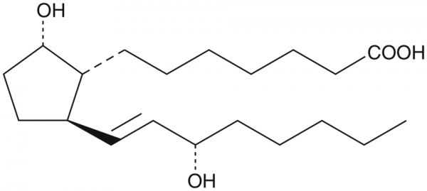 11-deoxy Prostaglandin F1alpha