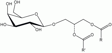 Monogalactosyldiglyceride (hydrogenated), plant