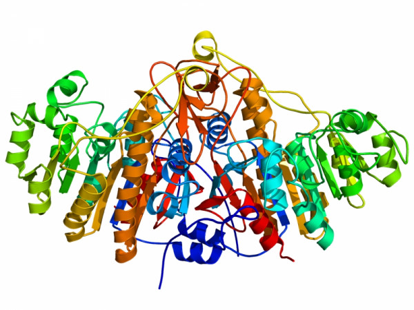 Alkaline Phosphatase [CIAP]