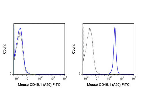 Anti-CD45.1 Fluorescein Conjugated, clone A20
