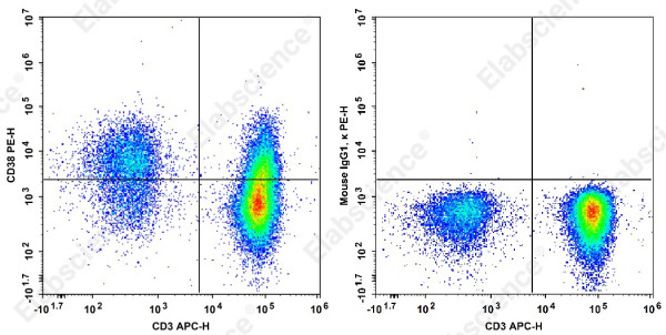 Anti-CD38 Antibody[HB-7]