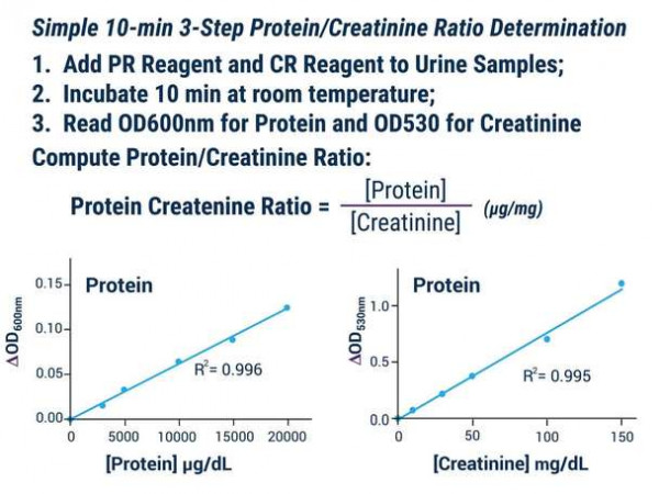Protein Creatinine Ratio Assay Kit