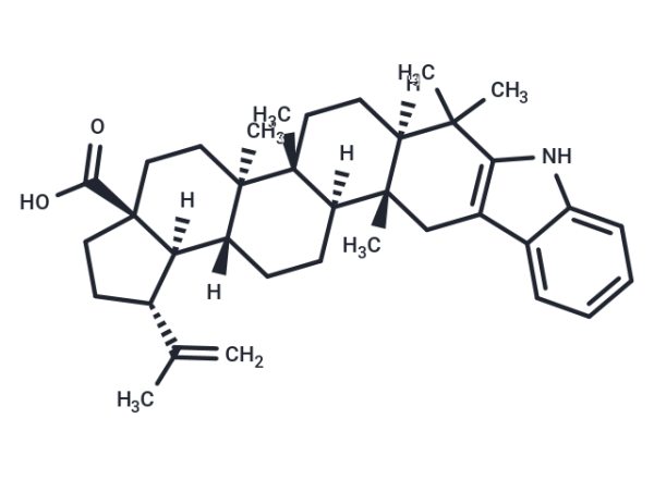 2,3-Indolobetulonic Acid