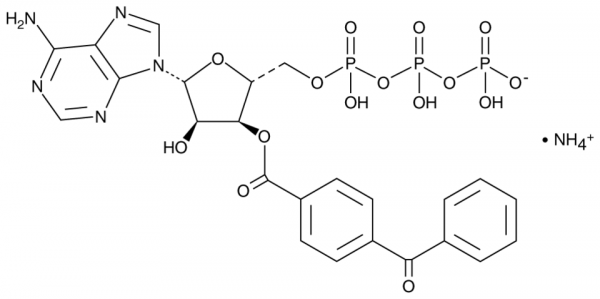 BzATP (triethylammonium salt)