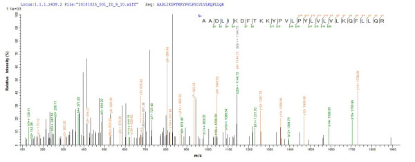 Terminal nucleotidyltransferase 4B (TENT4B), human, recombinant