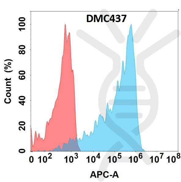 Anti-M-CSF antibody(DMC437), IgG1 Chimeric mAb