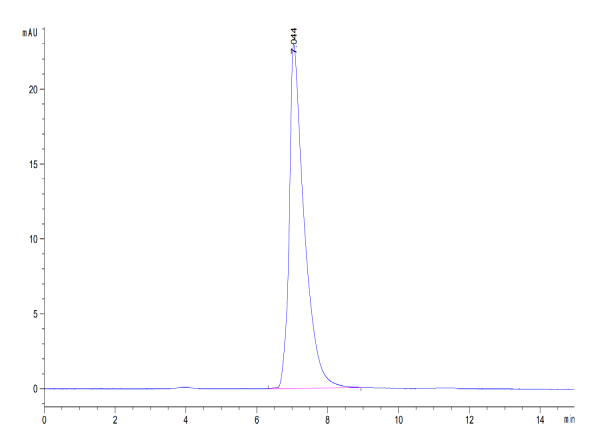 Biotinylated Mouse ALCAM/CD166 Protein