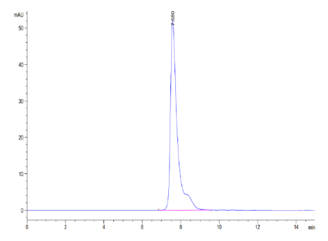SLAMF1/SLAM/CD150, His, Human